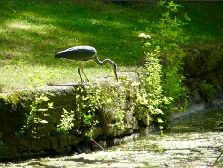 メス Peniche Alclair Bed & Breakfast エクステリア 写真